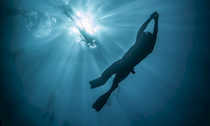 Free diving courses